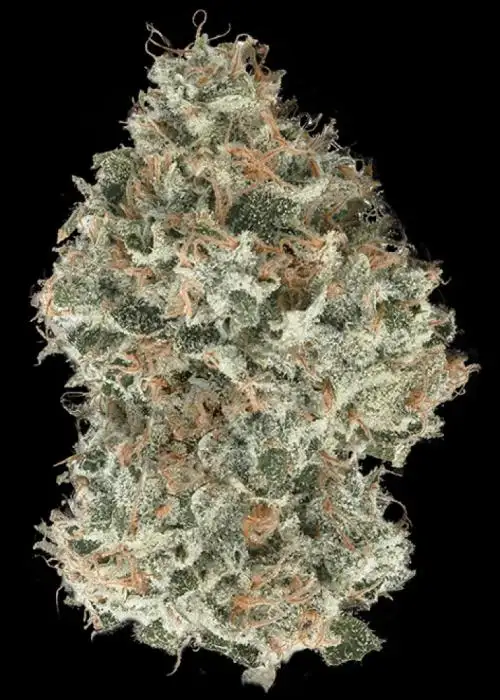 Strawberry Lemonade