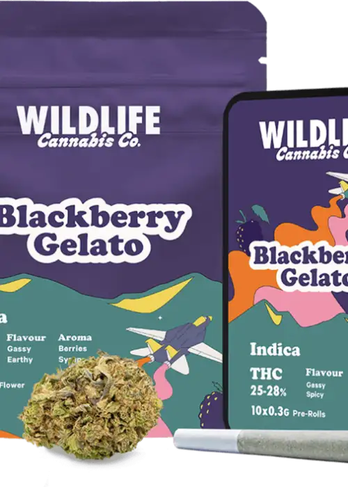 Blackberry Gelato