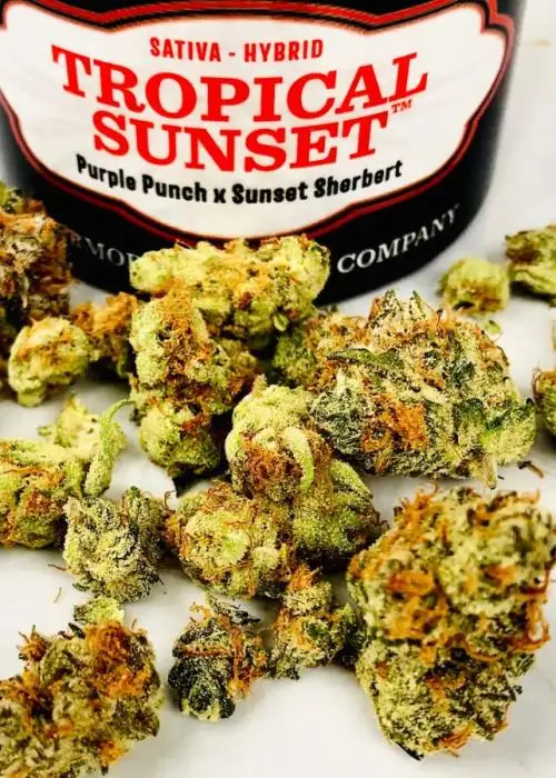 Tropical Sunset