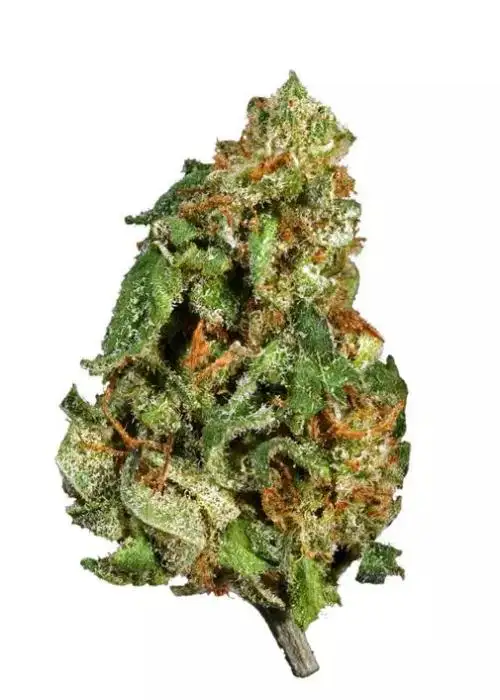 Monkey Paw
