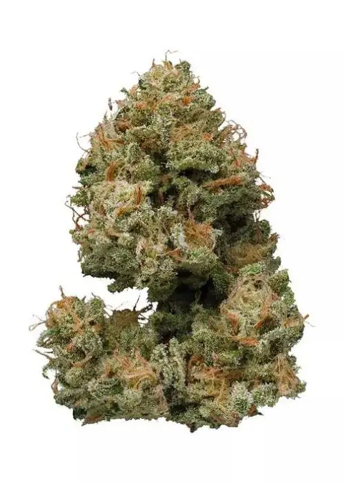 Bubble Berry