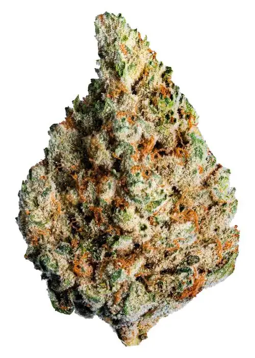 Key Lime Kush
