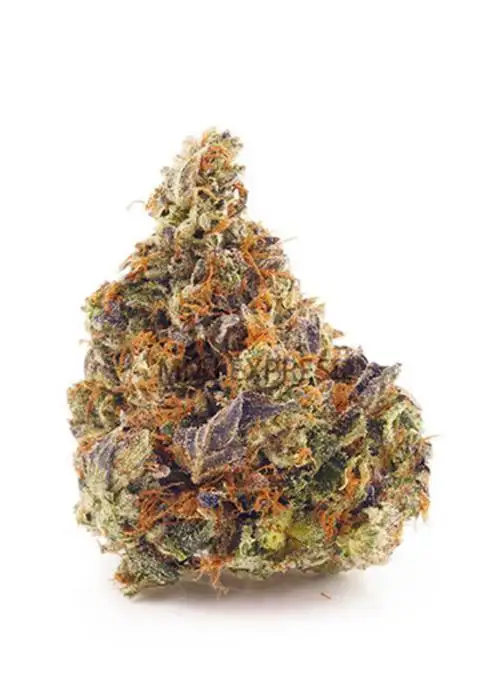 Pink Tuna