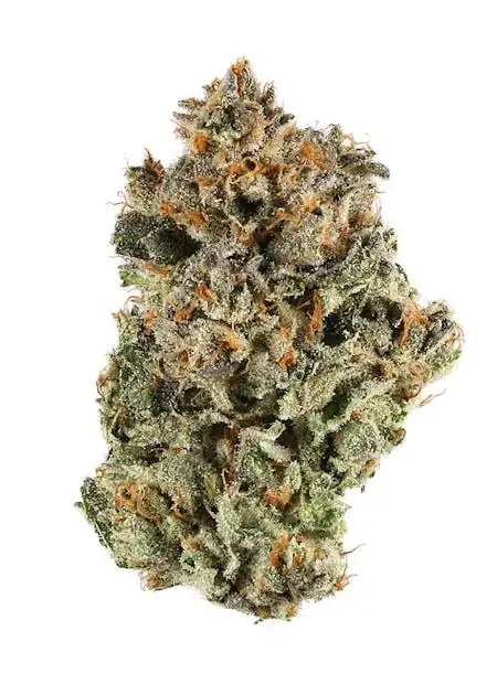 Black Cherry Maduro
