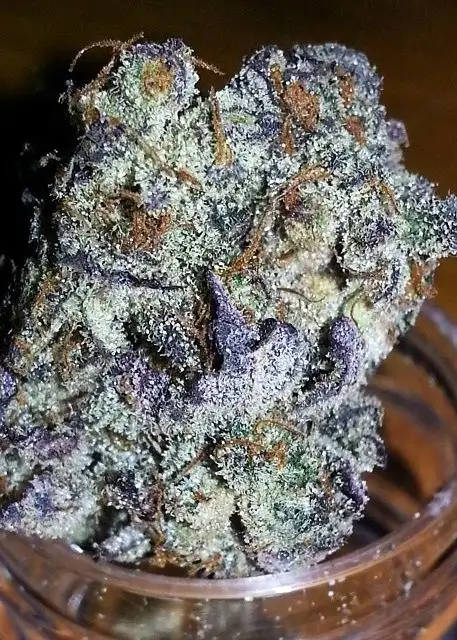 Blackberry Trainwreck