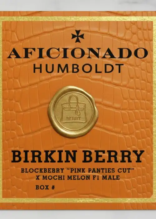 Birkin Berry