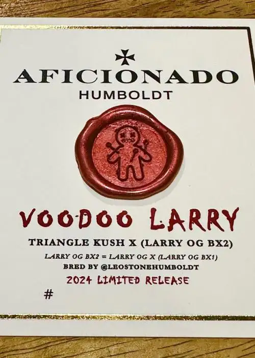 Voodoo Larry