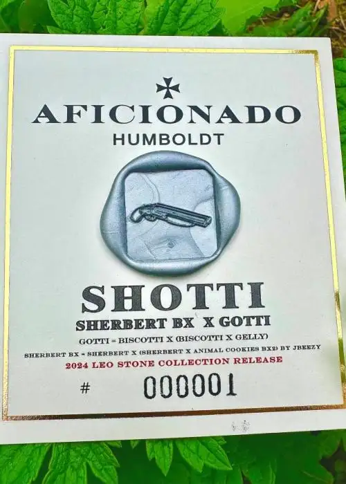 Shotti