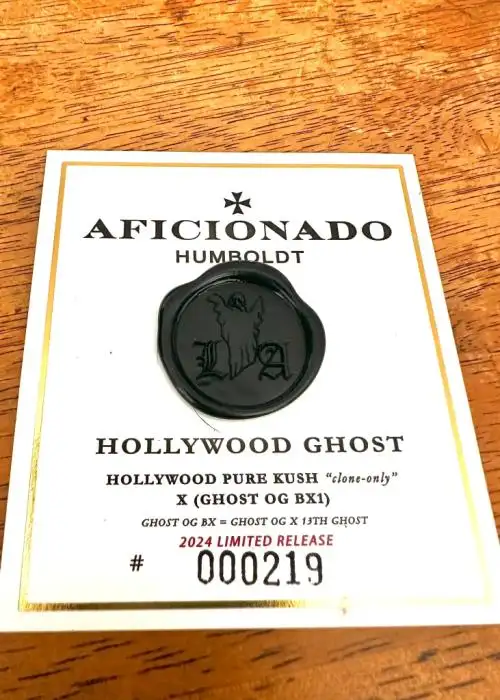 Hollywood Ghost