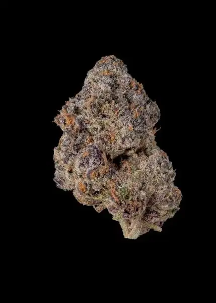 Triple Scoop by Cookies