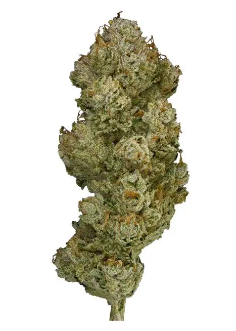 Saturn OG