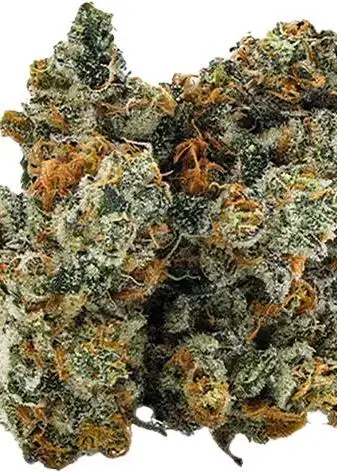 Minty Haze