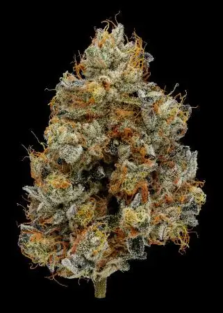 Kush Mint Cookies