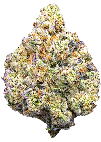 Pineapple Biscotti