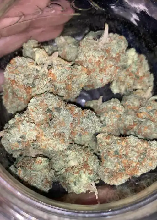 Ethos Cookies #16 (aka The Krux)