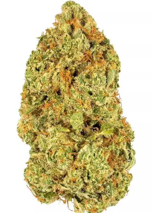 Island OG