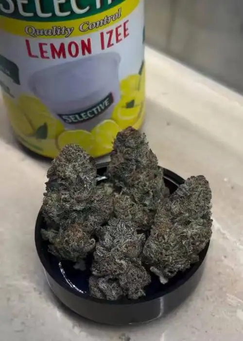 Lemon Izee