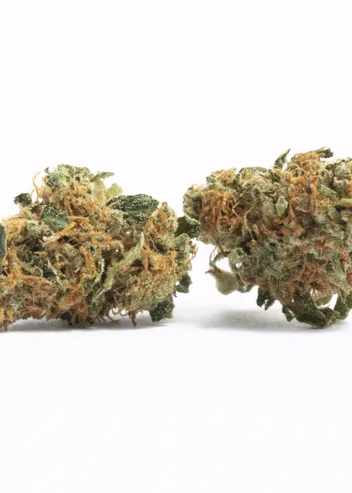 Blue Bubble Gum Caper