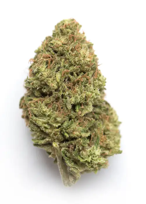 Colombian Haze