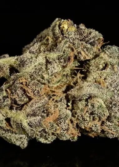 Grape Skunk