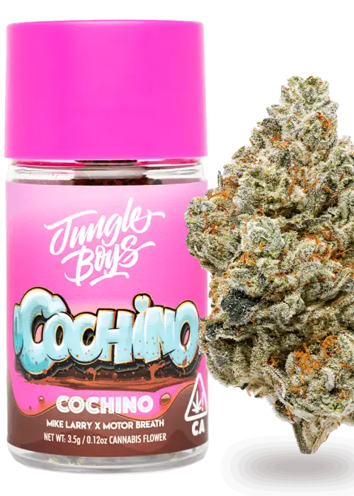 Cochino