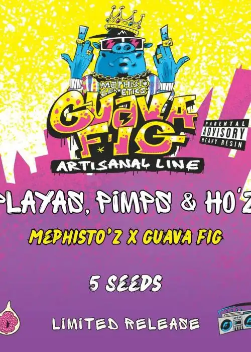 Playas, Pimps & Ho'z