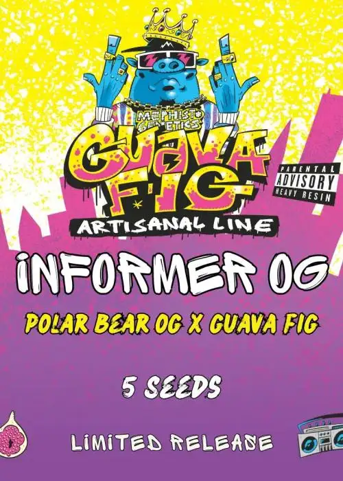 Informer OG