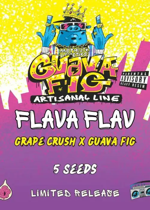 Flava Flav