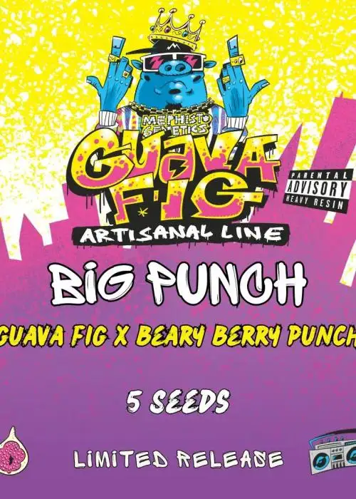 Big PUNch