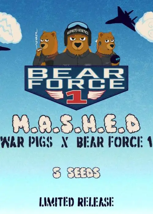 M.A.S.H.E.D.