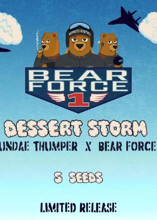 Dessert Storm