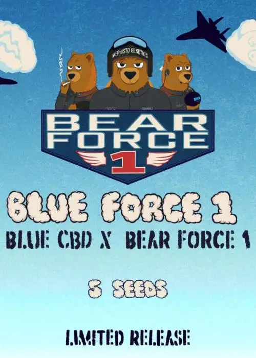 Blue Force 1