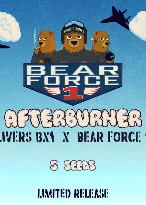 Afterburner