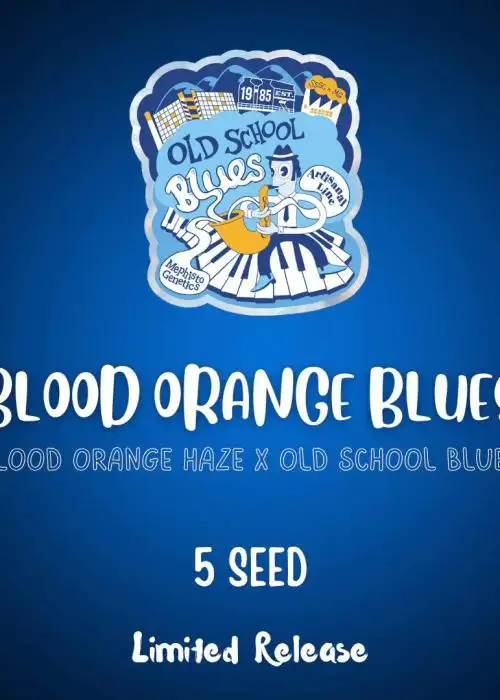 Blood Orange Blues
