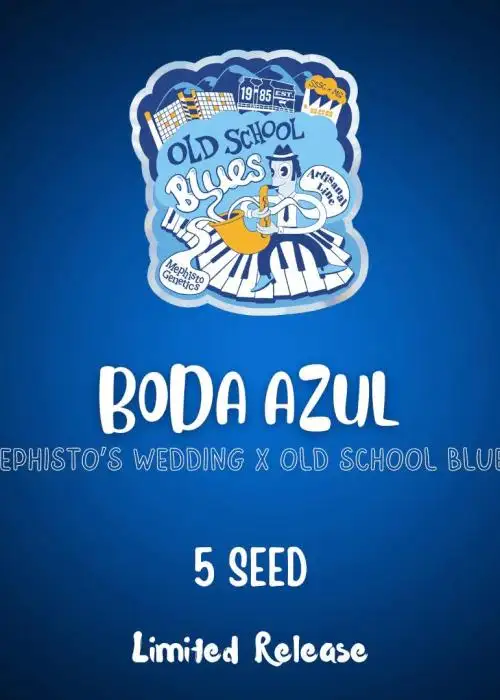 Boda Azul