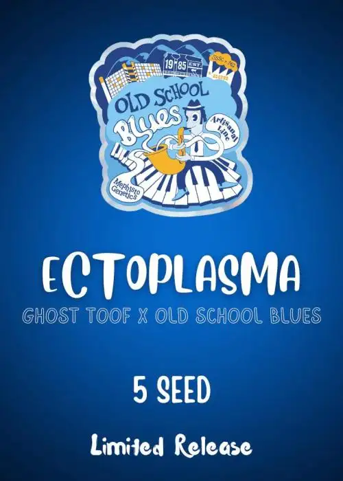 Ectoplasma