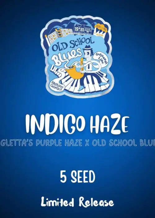 Indigo Haze