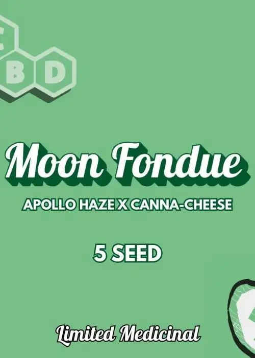 Moon Fondue