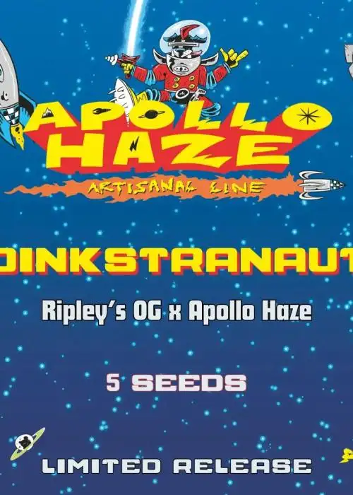 Oinkstranaut