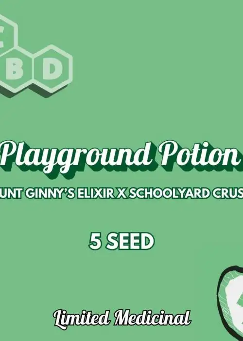 Playground Potion
