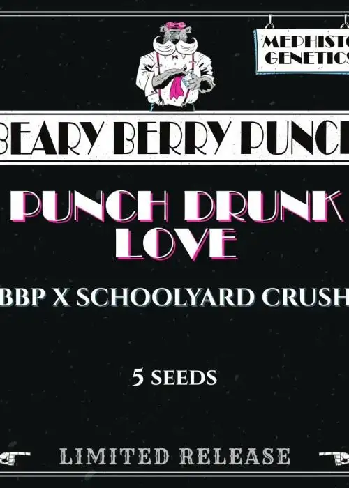Punch Drunk Love