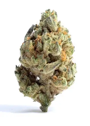 Unicorn Breath