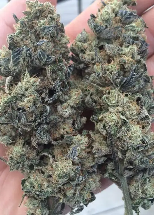 Ace High