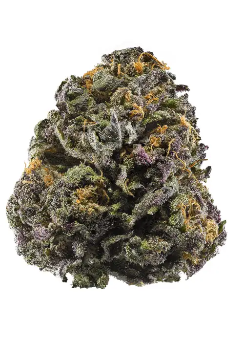 Purple Monster
