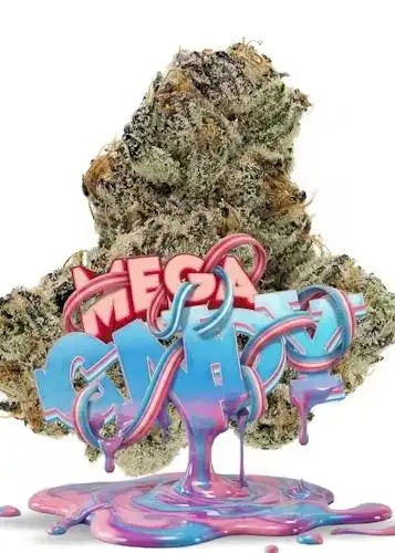 Mega CNDY
