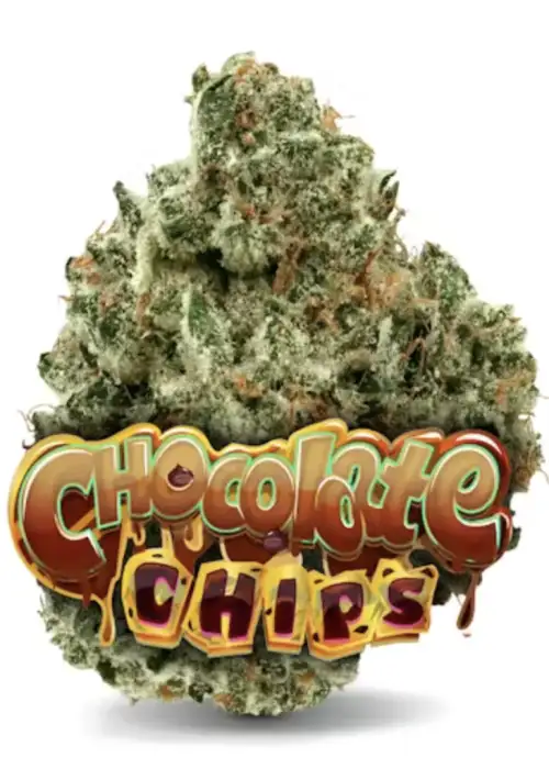 Chocolate Chips