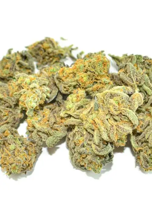 Blackberry Haze