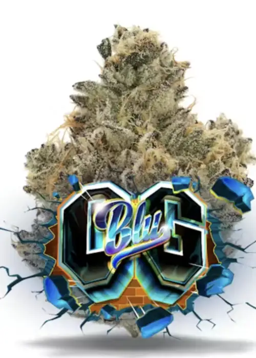 Blu OG