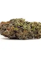 Blueberry Cream