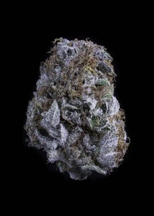 Pacific Blue